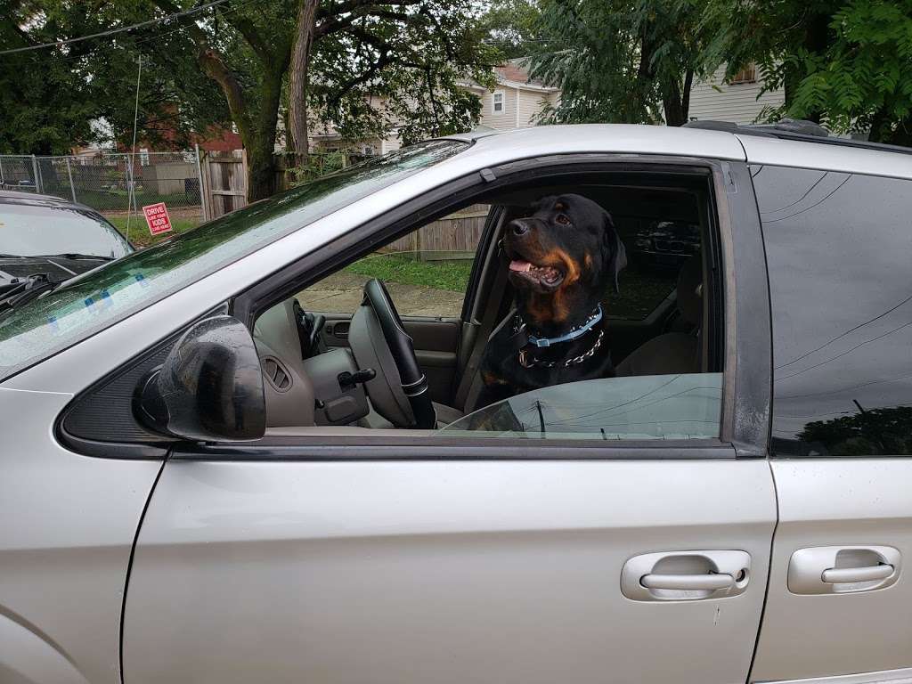 A 1 Small Engine Diesel Repair 1515a Kenilworth Avenue Northeast Washington Dc 20019 Usa