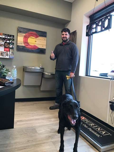 Golden Paws Animal Hospital | 701 Pine Ridge Rd ste 5, Golden, CO 80403, USA | Phone: (720) 307-7297