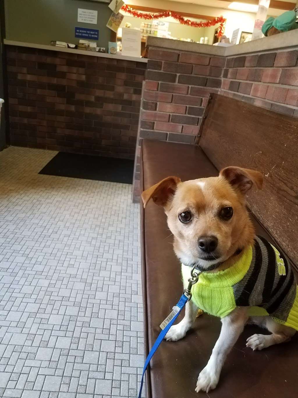 Animal Clinic of Michigan City | 1943 S Woodland Ave, Michigan City, IN 46360, USA | Phone: (219) 879-0249