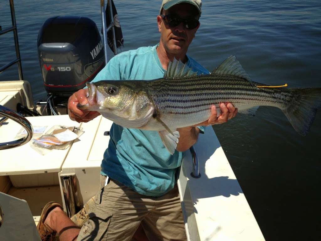 Reel Therapy Fishing Charters | 9 Williamsburg Dr, Tinton Falls, NJ 07753, USA | Phone: (732) 614-3373