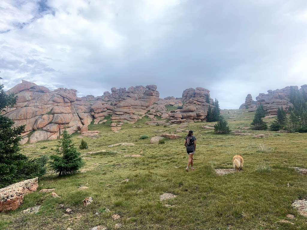 Ute Creek Trailhead | 9814 Tarryall Rd, Jefferson, CO 80456, USA