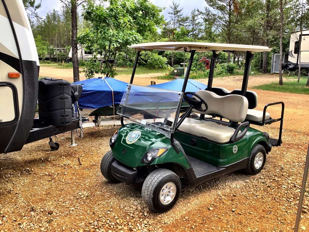 Crazy Gatorland Carts Golf Cart Rentals, Service/Sales | 15295 S, US-441, Summerfield, FL 34491, USA | Phone: (352) 200-5068