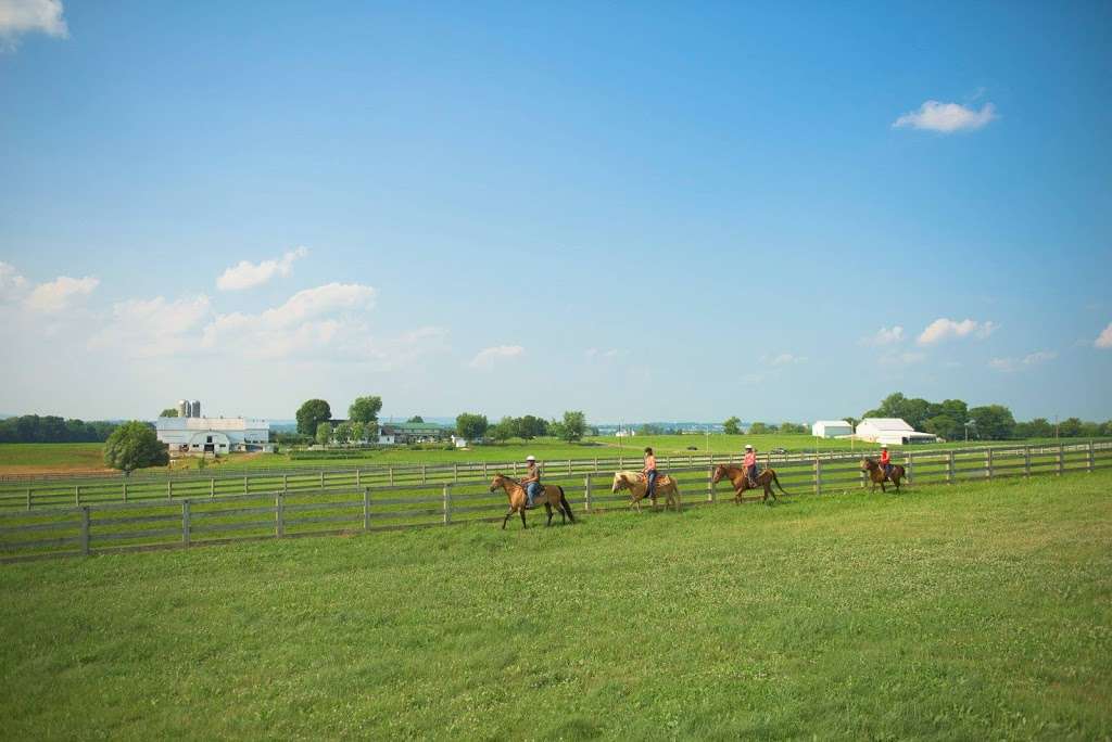 Nookside Stables | 500 Landisville Rd, Manheim, PA 17545 | Phone: (717) 618-8178