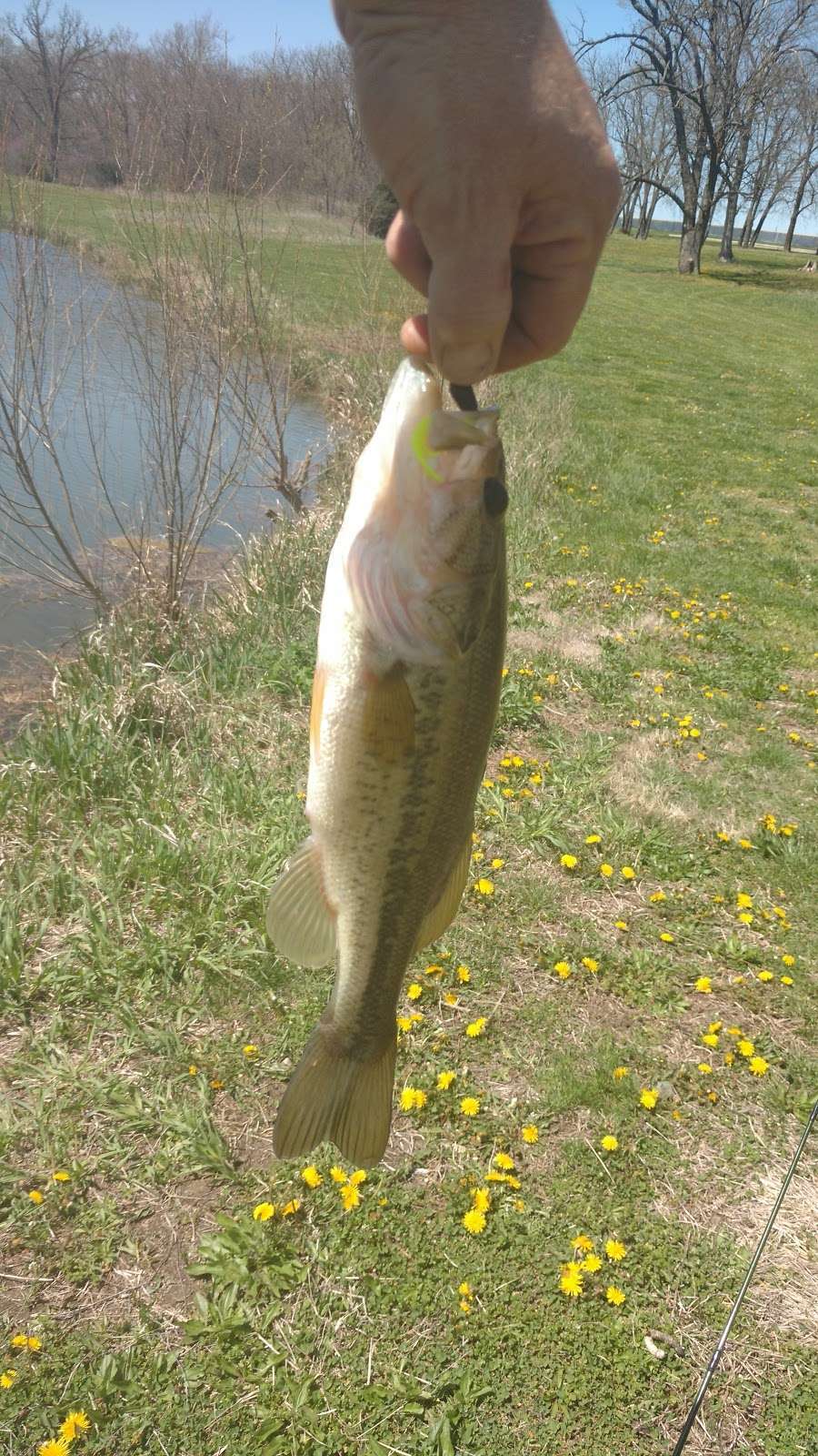 Paola Miola Lake | 22470 W 299th St, Paola, KS 66071, USA | Phone: (913) 259-3665