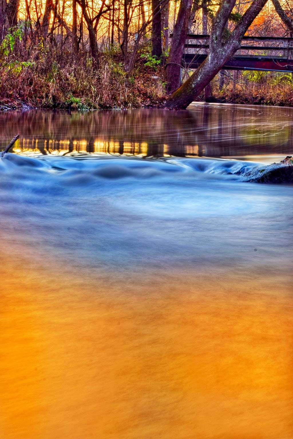 Scott Starling Nature Preserve (West trailhead) | 8521-8899 Wilson Rd, Indianapolis, IN 46278, USA