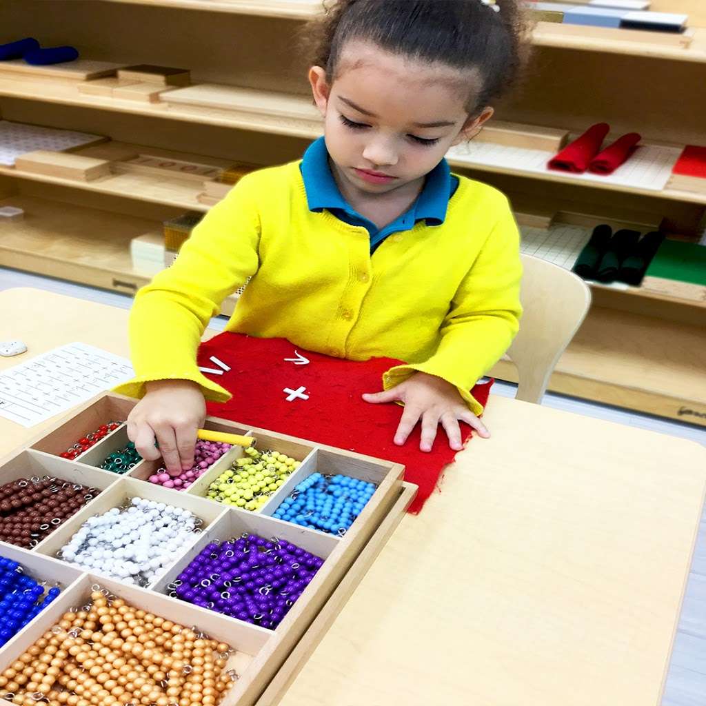 Small World Montessori School | 18461 Miramar Pkwy, Miramar, FL 33029, USA | Phone: (954) 544-2915