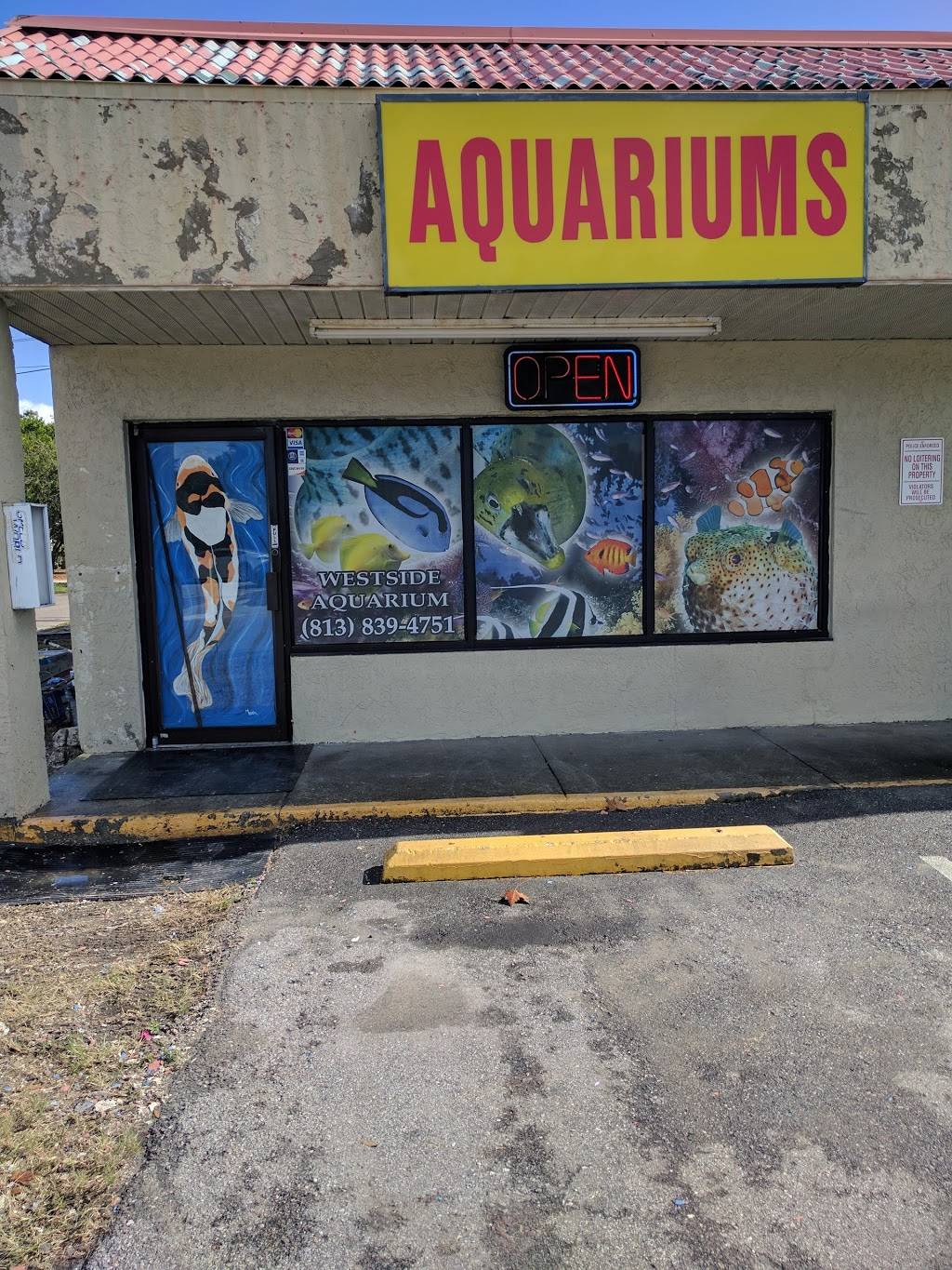 Westside Aquarium & Pets | 3402 S Dale Mabry Hwy a, Tampa, FL 33629, USA | Phone: (813) 839-4751