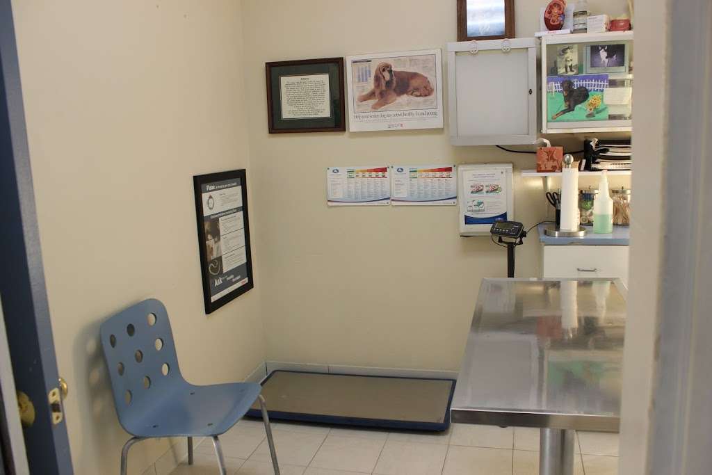 Andrews Square Pet Clinic | 6023 Warner Ave, Huntington Beach, CA 92647, USA | Phone: (714) 841-0822