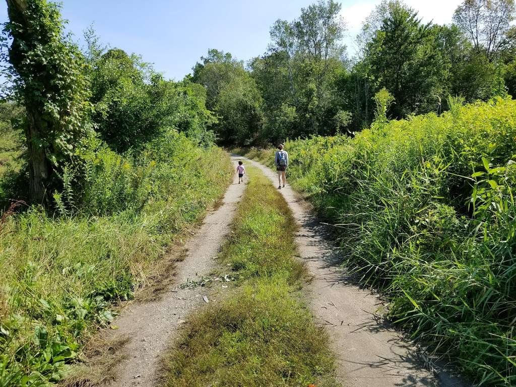 Wayne F. McCallum Wildlife Management Area | Rice Ln, Westborough, MA 01581