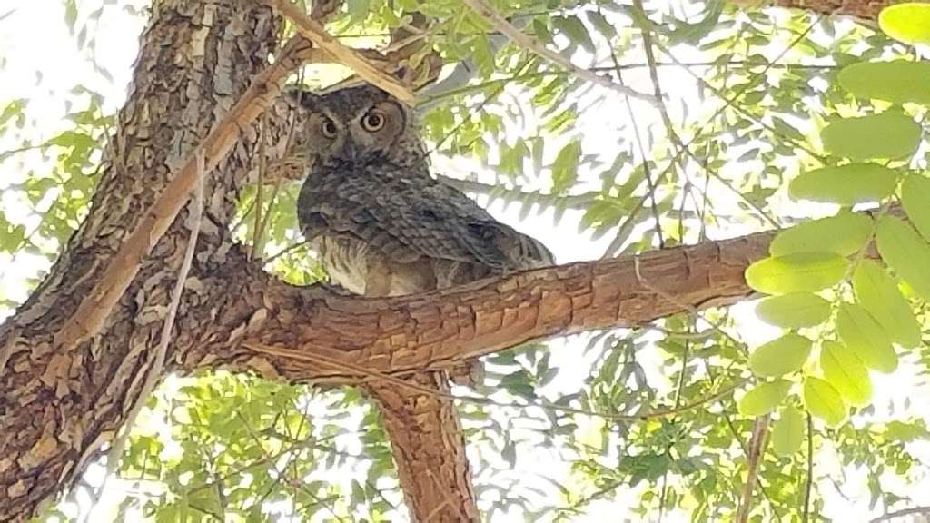 Deer Valley Park | 3665 E Deer Valley Dr, Phoenix, AZ 85050, USA Deer Valley Park | 3665 E Deer Valley Dr, Phoenix, AZ 85050, USA