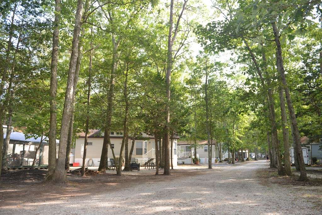 Sea Pines RV Resort & Campground | 1535 U.S. 9, Swainton, NJ 08210 | Phone: (609) 465-4517