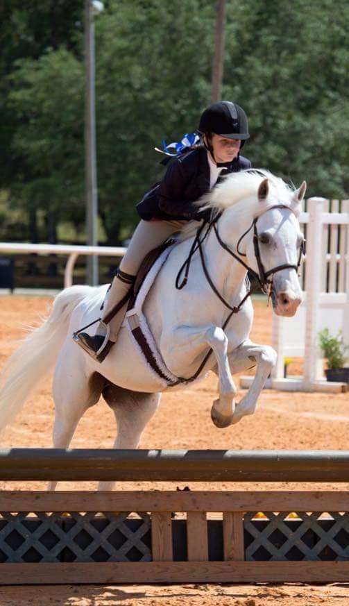 Cyr Point Stable | 198 Leona Rd, Orlando, FL 32828, USA | Phone: (407) 810-6293