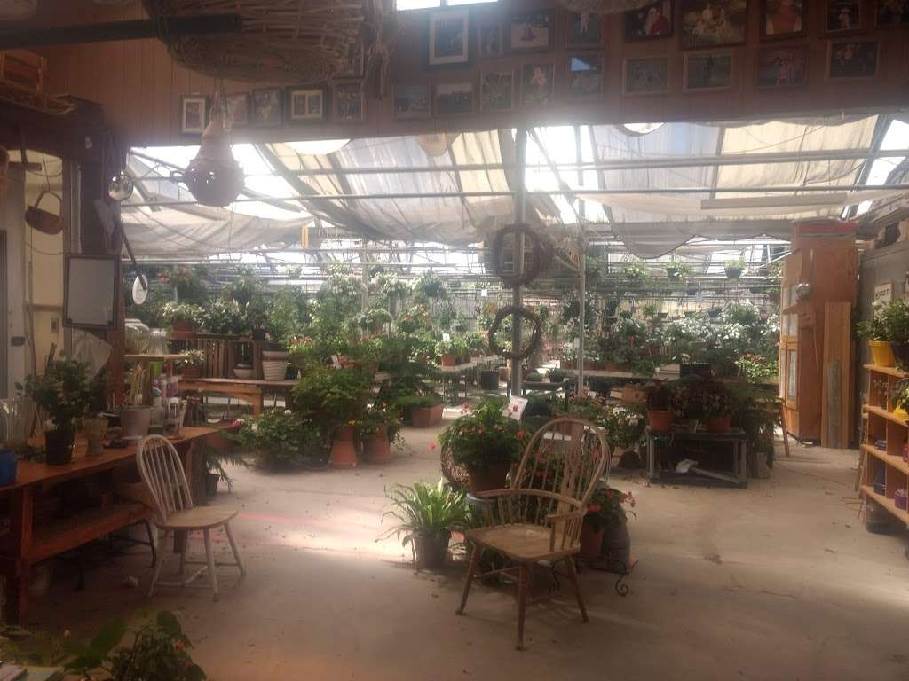 Horchers Florist & Greenhouses | 910 McHenry Rd, Wheeling, IL 60090, USA | Phone: (847) 541-3276