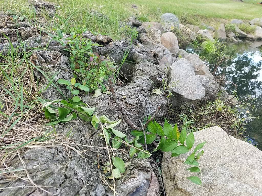 Rest Haven Memorial Park | 1200 Sagamore Pkwy N, Lafayette, IN 47904, USA | Phone: (765) 447-1797