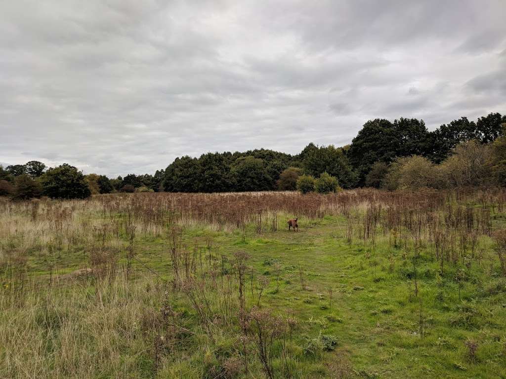 Thorley Wash Nature Reserve | Thorley, Bishops Stortford CM22 7SQ, UK