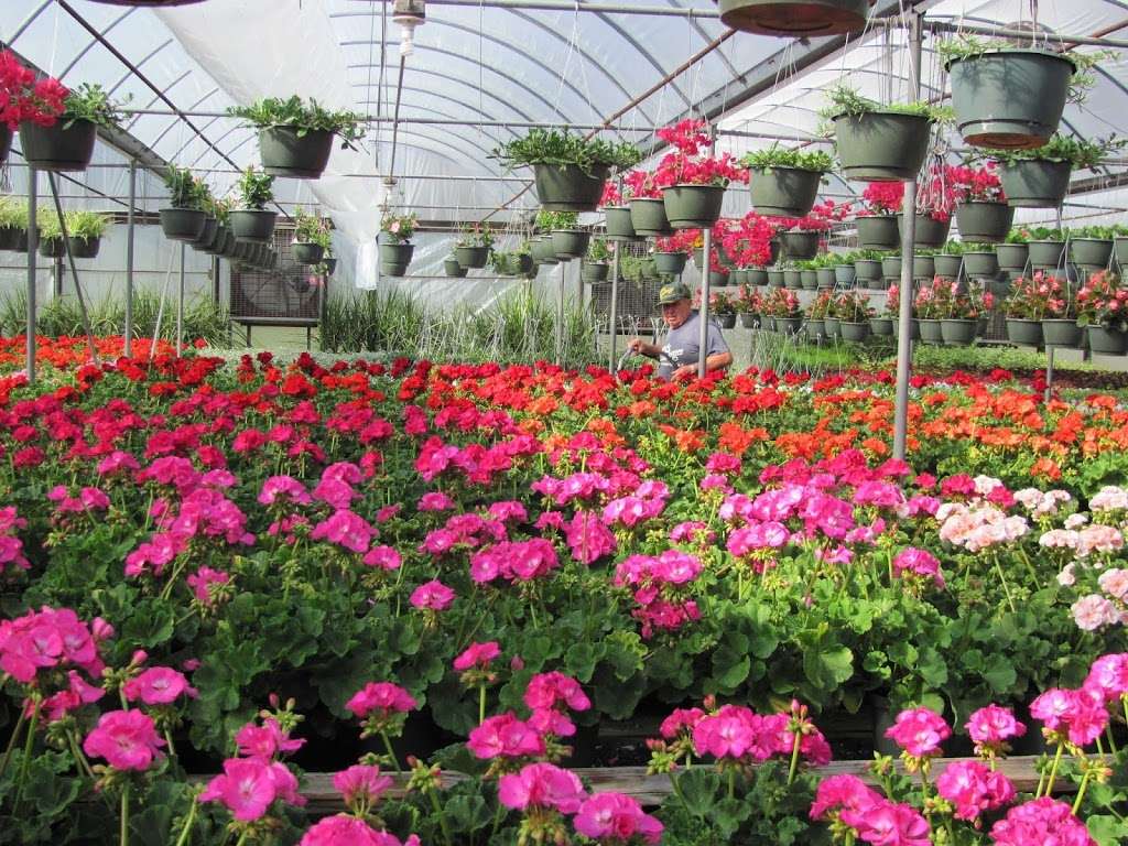 Joes Greenhouses | 1092 County Rd 12, New Hampton, NY 10958, USA | Phone: (845) 355-4831