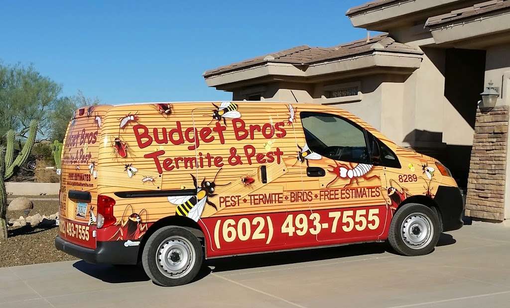 Budget Brothers Termite & Pest | 7401 E Bell Rd, Scottsdale, AZ 85260, USA | Phone: (480) 874-8048