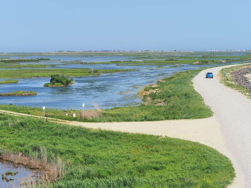 Edwin B Forsythe National Wildlife Refuge Admin Building And Vis | 800 Great Creek Rd, Galloway, NJ 08205 | Phone: (609) 652-1665