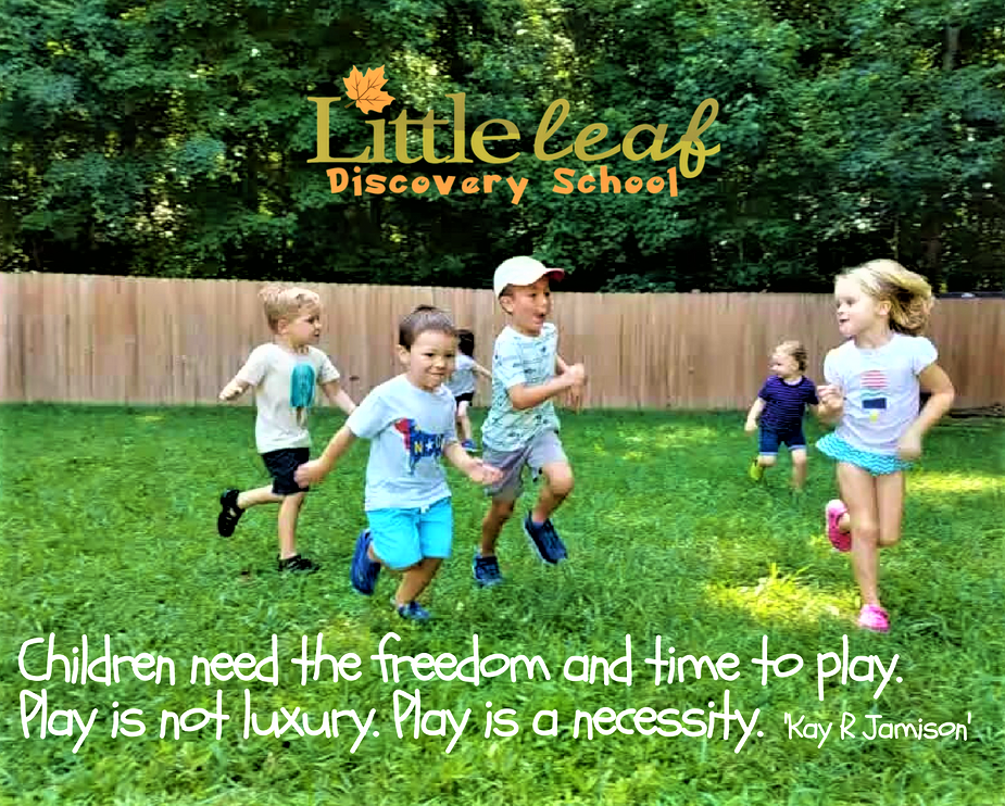 Little Leaf Discovery School | 3217 Forestville Rd, Raleigh, NC 27616, USA | Phone: (919) 373-8440