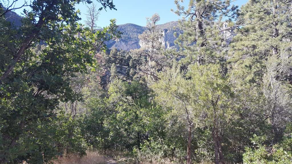 Fletcher View Campgrounds | Mt Charleston, NV 89124, USA | Phone: (702) 872-5577