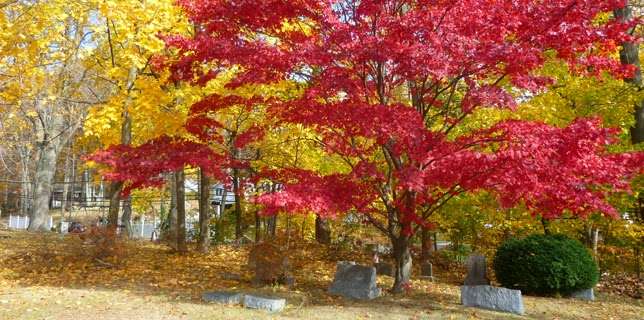 Fair Ridge Cemetery | 475 Quaker Rd, Chappaqua, NY 10514, USA | Phone: (914) 238-4507