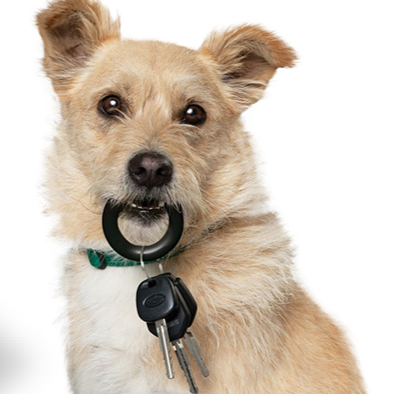 Car Masters, Inc. | 1350 W Garrison Blvd, Gastonia, NC 28052, USA | Phone: (704) 864-8500