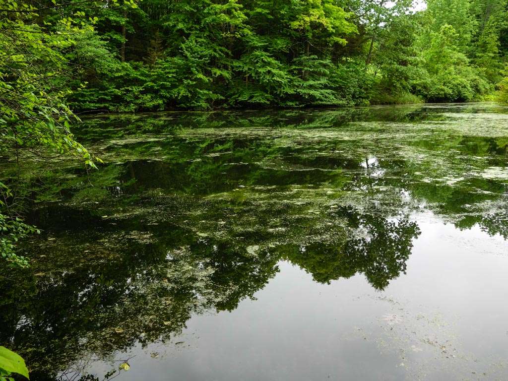 Appalachian Trail | Quarry Rd, Wantage, NJ 07461, USA