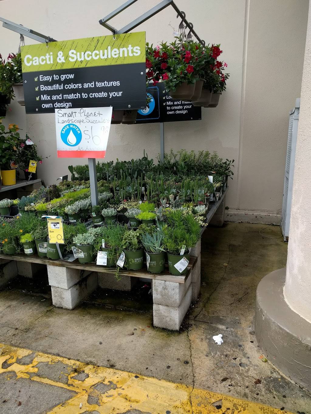 Garden Center at The Home Depot | 11305 SW 40th St, Miami, FL 33165, USA | Phone: (305) 552-9005