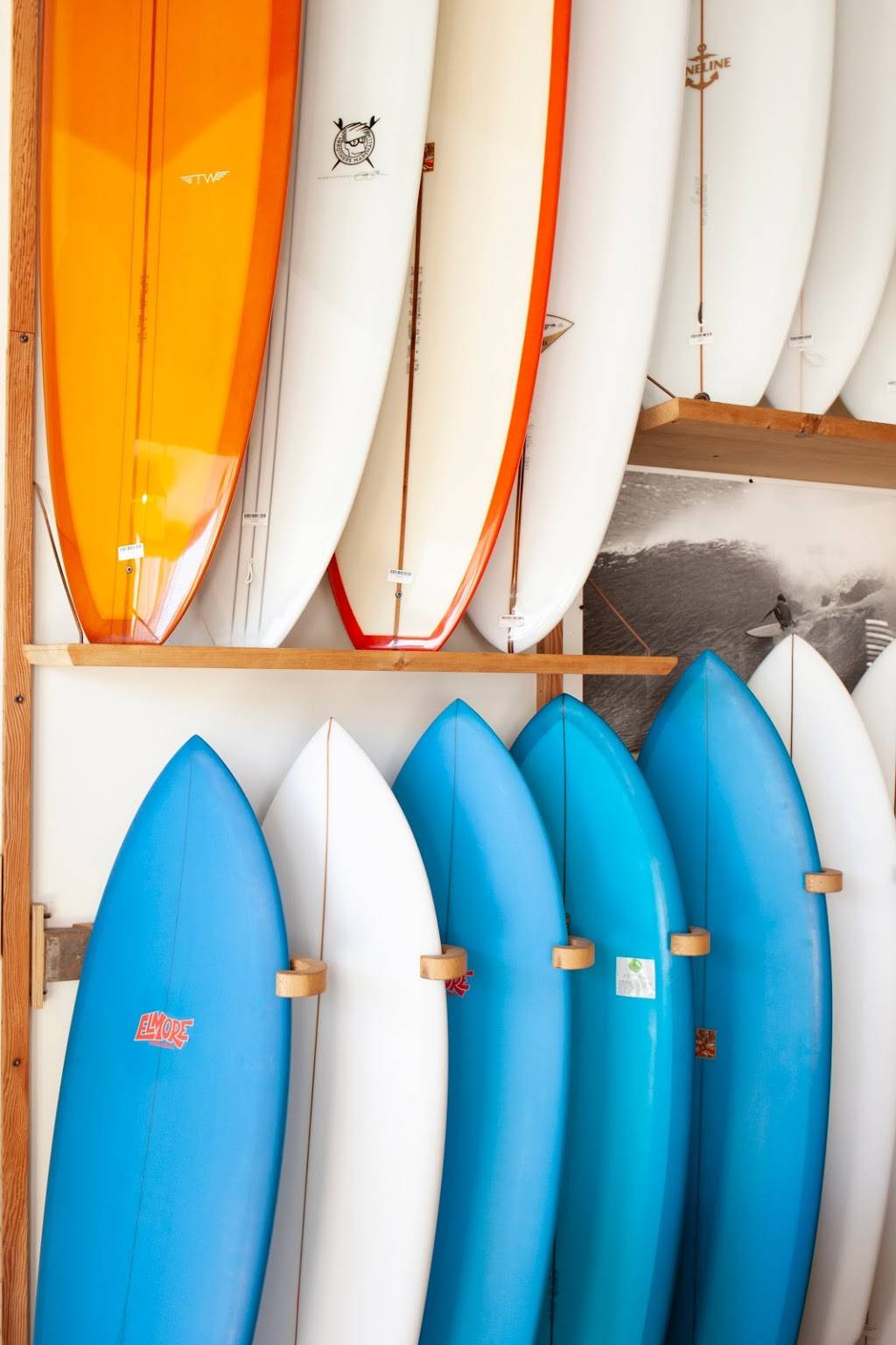 Mollusk Surf Shop | 4500 Irving St, San Francisco, CA 94122, USA | Phone: (415) 564-6300