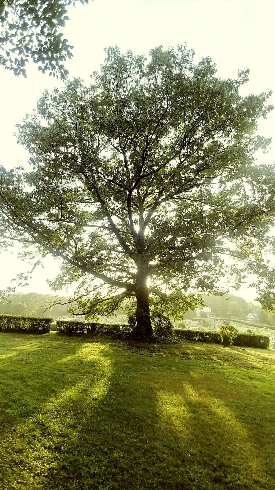 Mt. Sinai Cemetery | 328 New Holland Ave, Shillington, PA 19607, USA | Phone: (610) 375-6034