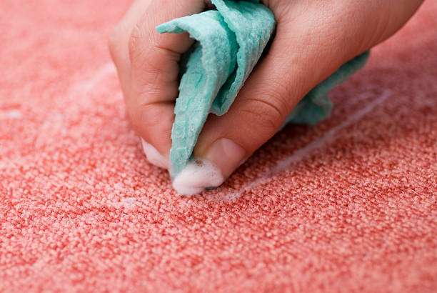 RLP Carpet Cleaners | 12302 Lake June Rd, Balch Springs, TX 75180, USA | Phone: (469) 298-1048