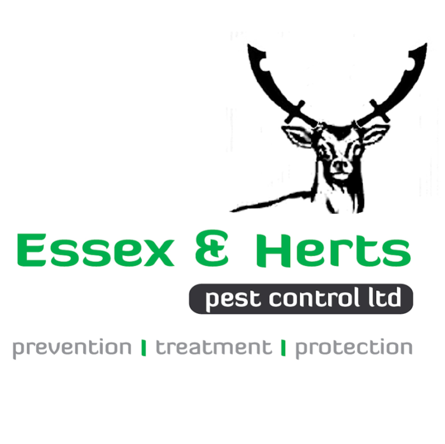 Essex & Herts Pest Control Ltd | Highfields, The Downs, Stebbing, Dunmow CM6 3RA, United Kingdom | Phone: (080) 061-27708
