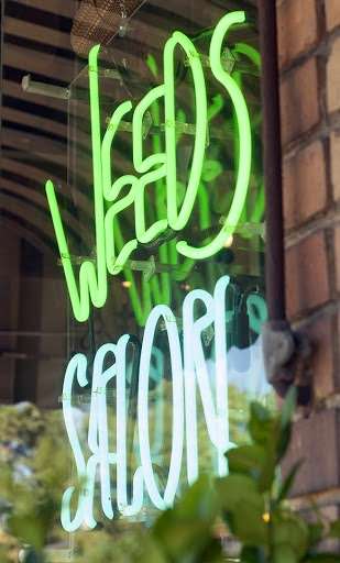 Weeds Salon | 6 Wildwood Ave, Oakland, CA 94610, USA | Phone: (510) 450-0214