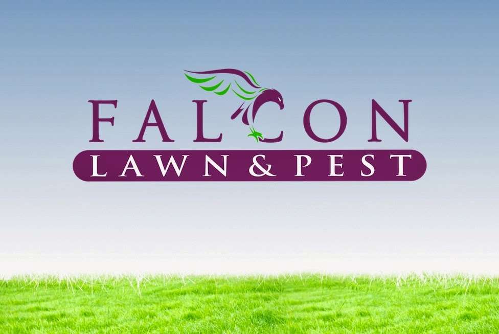 Falcon Lawn & Pest | 4062 S Goldenrod Rd, Orlando, FL 32822, USA | Phone: (407) 281-8815