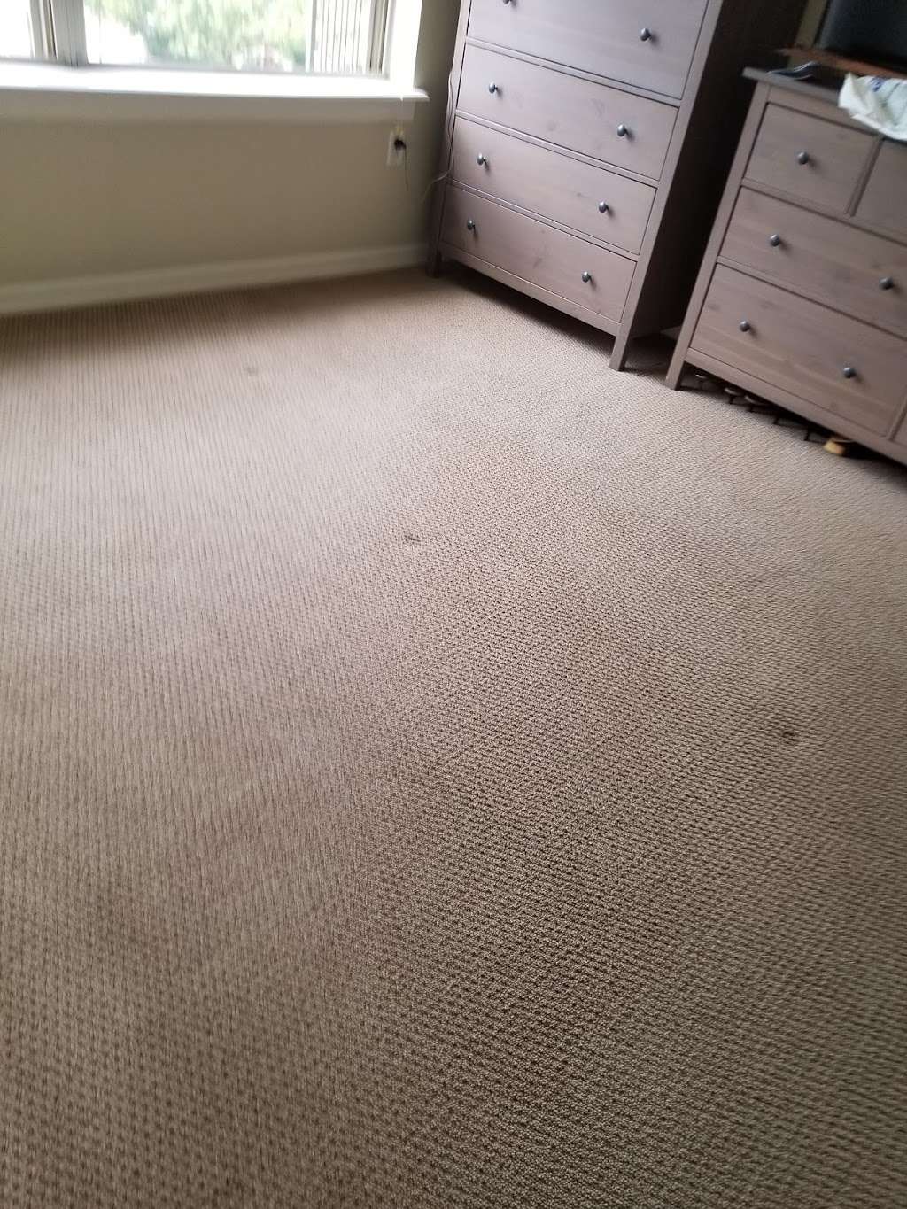Cleaner Image Carpet Cleaning | 497 S Memphis Way APT 14, Aurora, CO 80017 | Phone: (720) 325-8410