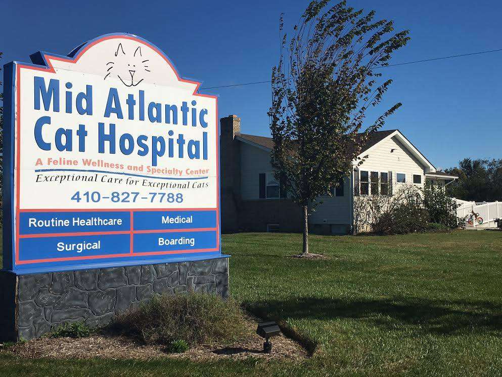 Mid Atlantic Cat Hospital | 201 Grange Hall Rd, Queenstown, MD 21658, USA | Phone: (410) 827-7788