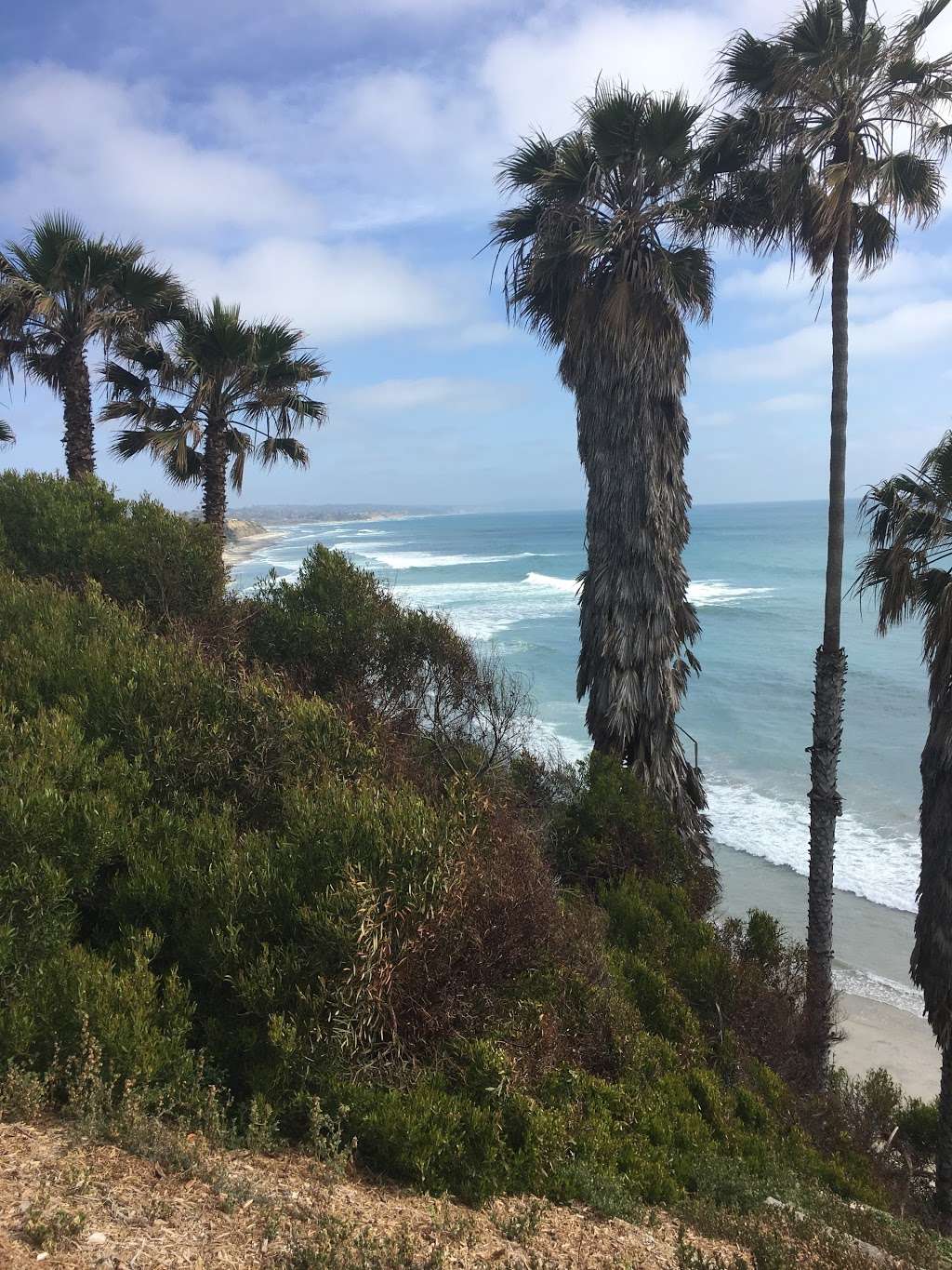 Sea Cliff County Park | Encinitas, CA 92024, USA