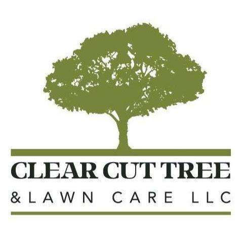 Clear Cut Tree and Lawn Care LLC | 388 Main St Unit 2F, Monroe, CT 06468, USA | Phone: (203) 601-7966