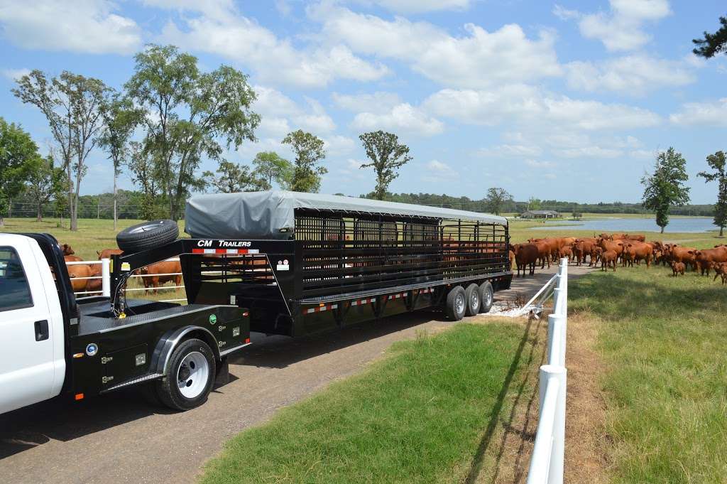 Big Tex Trailer World Dallas N Walton Walker Blvd Dallas Tx 752 Usa