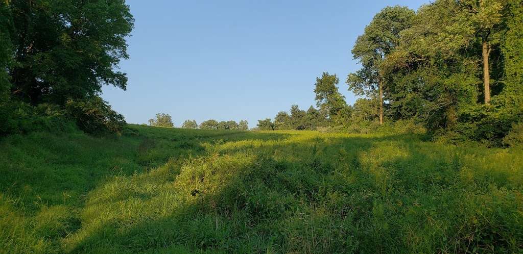 Darlington Valley Open Space | Darlington Trail, Media, PA 19063