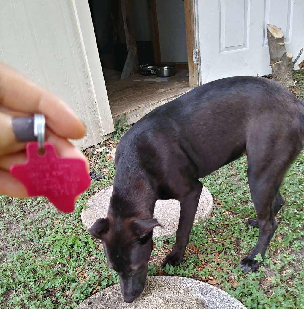 petcare express holcombe