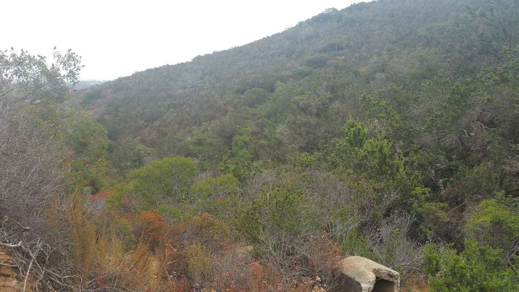 Miners Ridge Loop Trail | Black Mountain Hike, San Diego, CA 92129, USA | Phone: (858) 538-8082