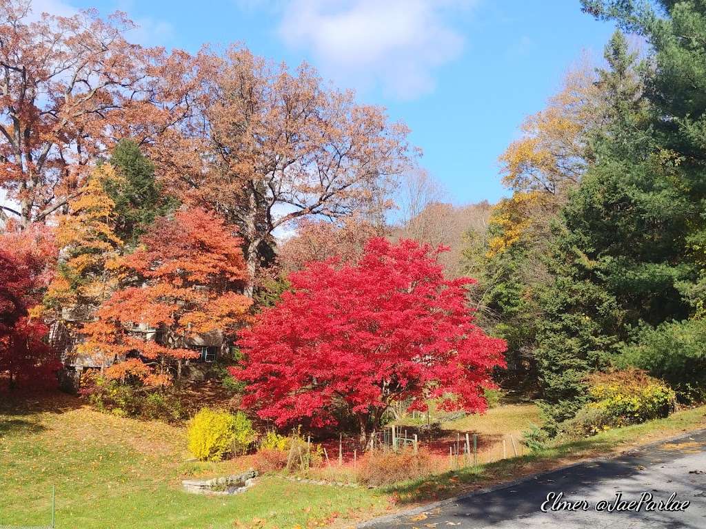 Ramapo Dunderberg Trailhead | 11-33 Grove Dr, Tuxedo Park, NY 10987, USA