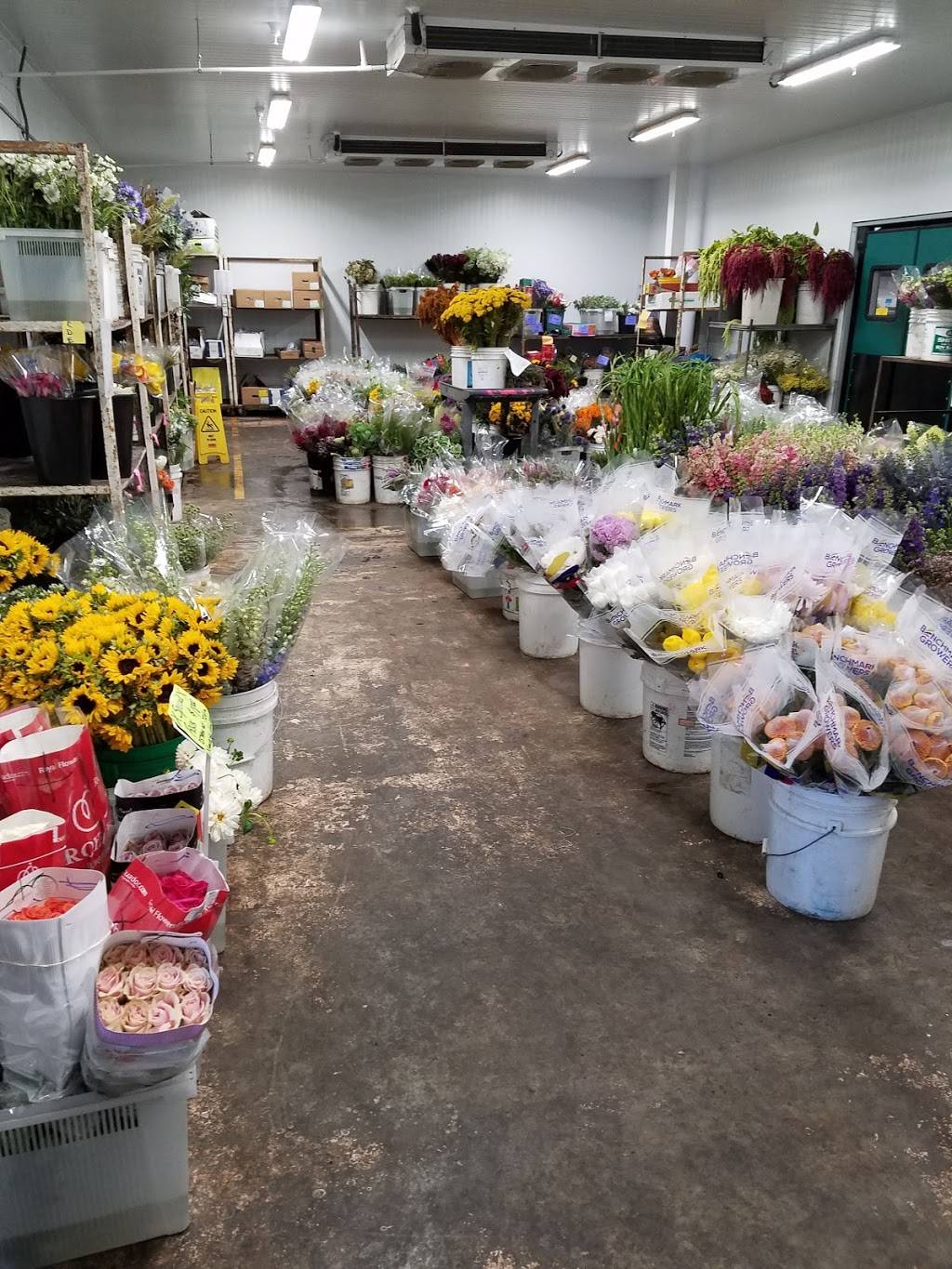 California Flower Shippers | 538 W Trimble Rd, San Jose, CA 95131, USA | Phone: (650) 965-0155