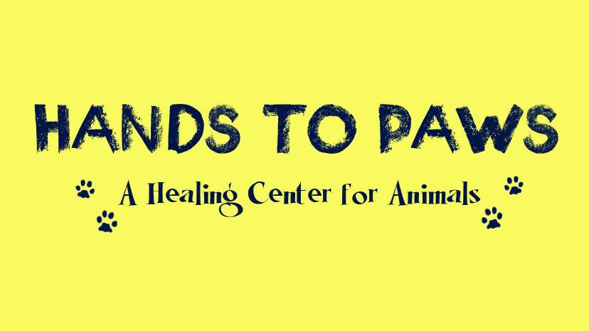 Hands to Paws | 1868 NJ-88, Brick, NJ 08724, USA | Phone: (732) 908-7297