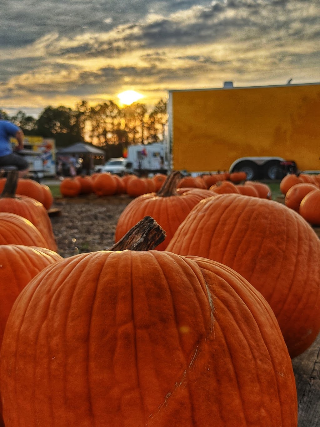 County Line Produce Lutz, Fruit & Vegetables | 206 Newberger Rd, Lutz, FL 33549 | Phone: (813) 575-9006