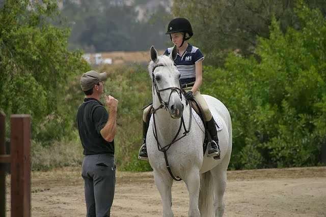 Scott Lico Stables | 11700 Little Tujunga Canyon Rd, Lake View Terrace, CA 91342 | Phone: (805) 750-8927