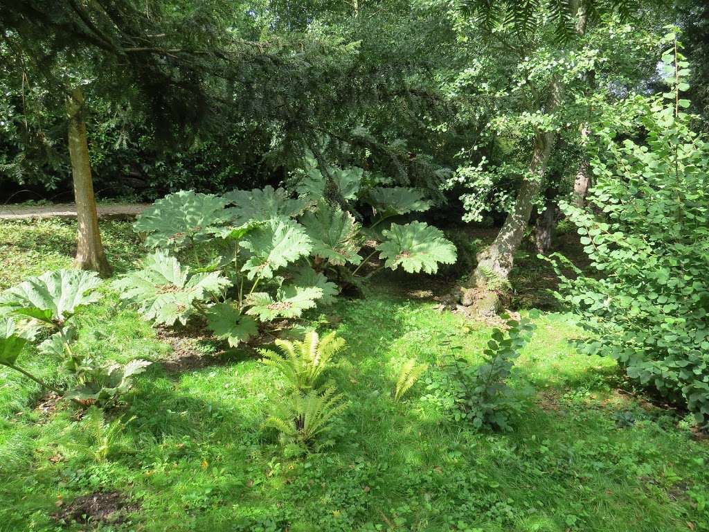 Farningham Wood Nature Reserve | Dartford DA4 9JH, UK | Phone: 01732 227000