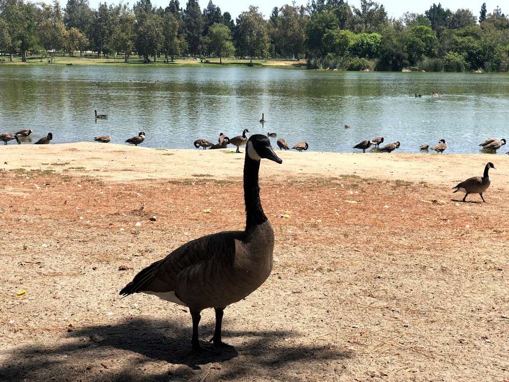 Legg Lake West Side Parking | Rosemead Blvd, South El Monte, CA 91733, USA