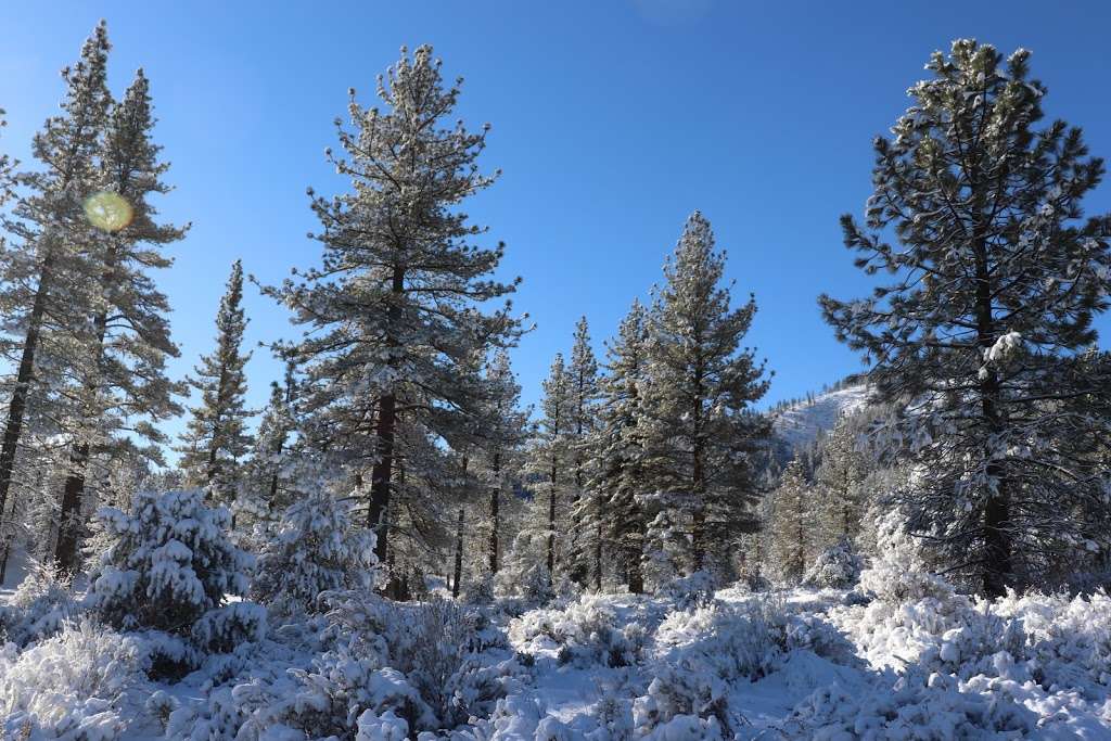 Saint Nichalos Campground | Frazier Park, CA 93225, USA